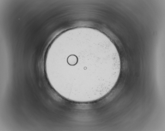 X0000113150836200909110952