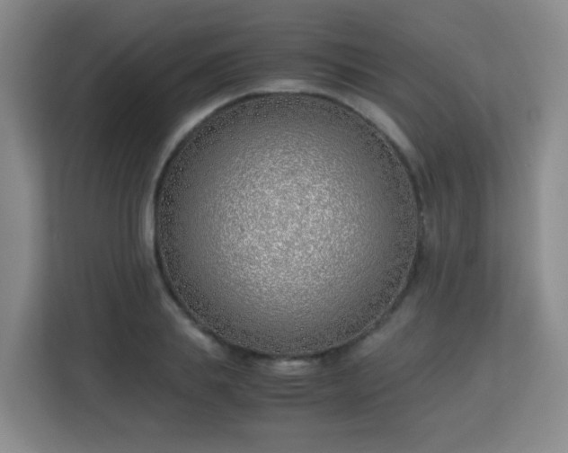 X0000113150839200909110952