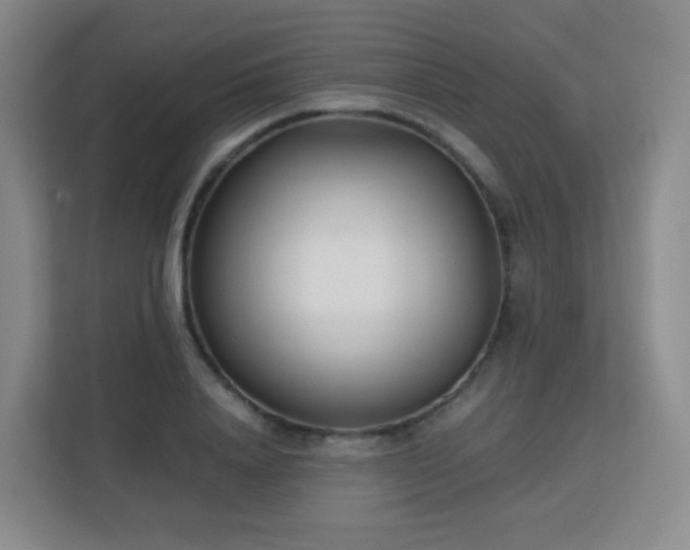 X0000113150840200909110952