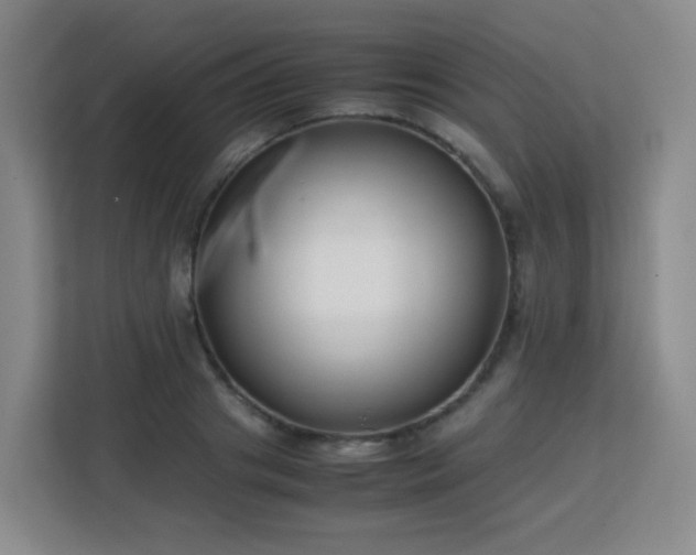 X0000113150841200909110952