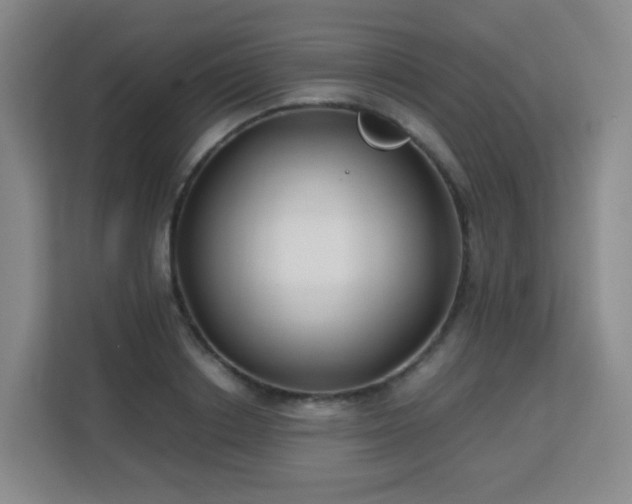 X0000113150842200909110952