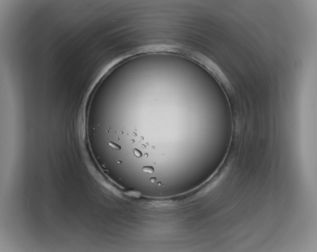 X0000113150844200909110952