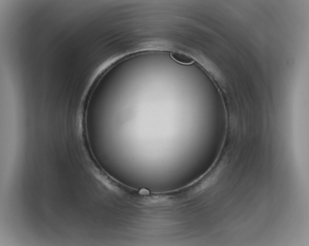 X0000113150846200909110952