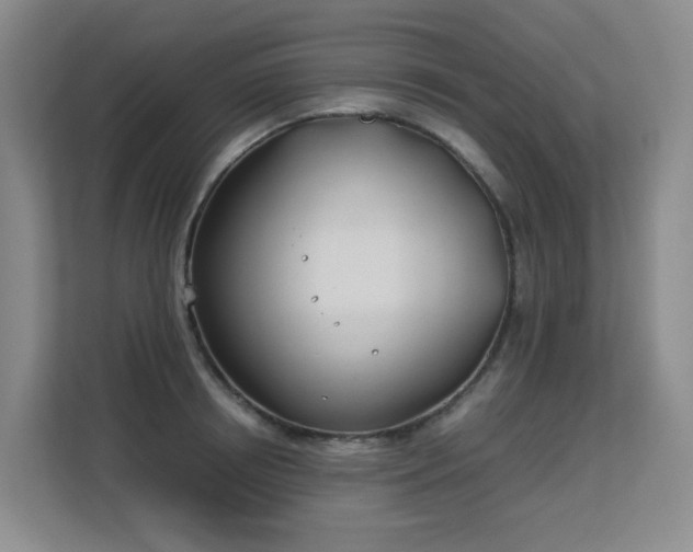 X0000113150850200909110952