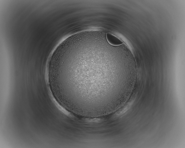 X0000113150851200909110952