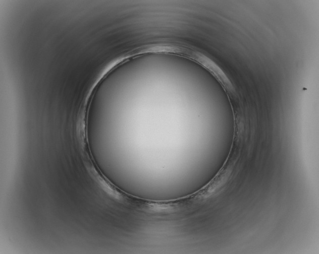 X0000113150852200909110952