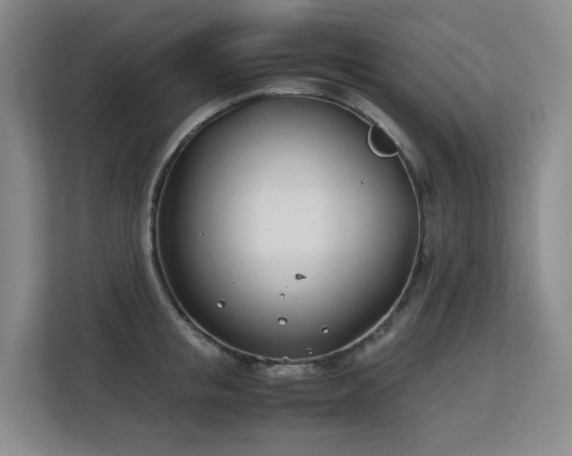 X0000113150853200909110952