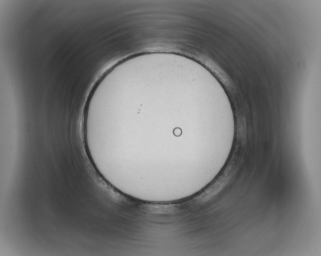 X0000113150856200909110953