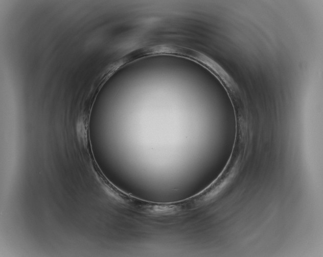 X0000113150857200909110953