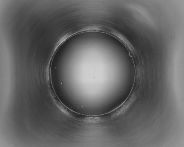 X0000113150858200909110953