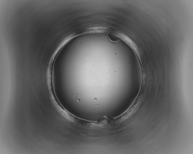 X0000113150859200909110953