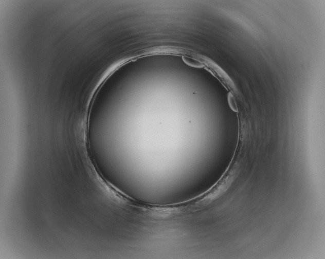 X0000113150860200909110953