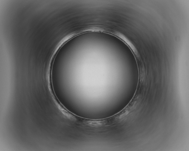 X0000113150861200909110953