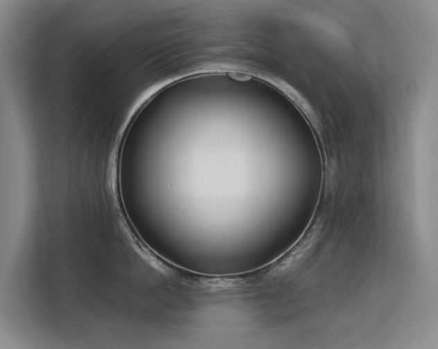 X0000113150862200909110953