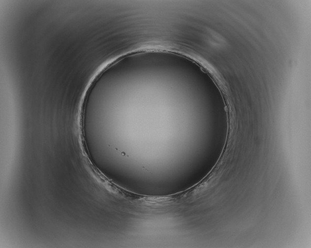 X0000113150864200909110953