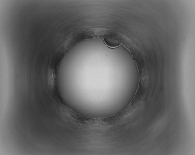 X0000113150866200909110952