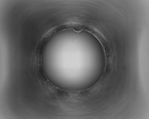 X0000113150870200909110952