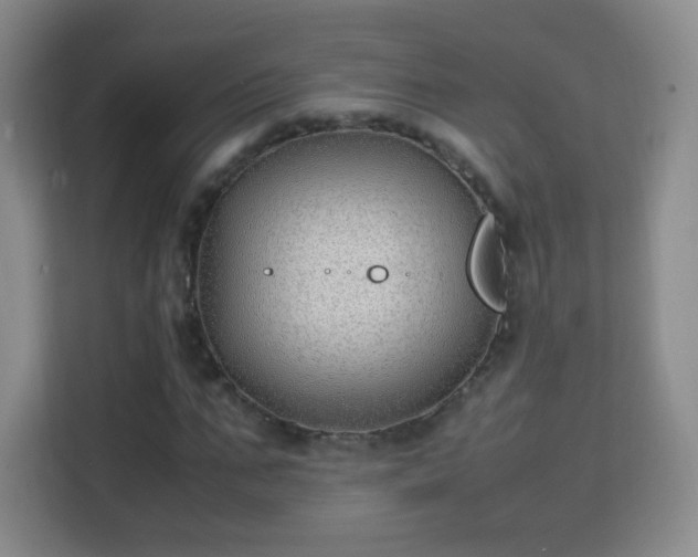 X0000113150871200909110952