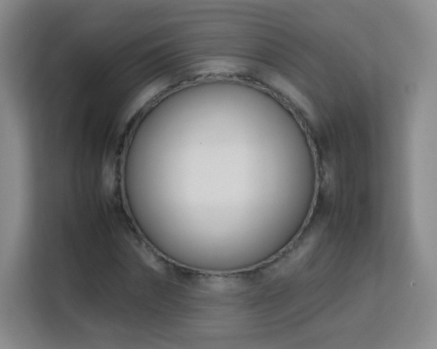 X0000113150874200909110952