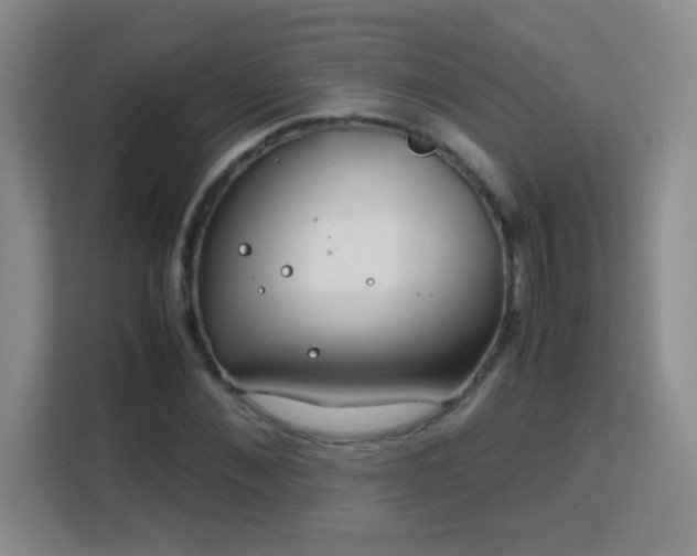 X0000113150876200909110952