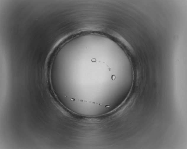 X0000113150878200909110952