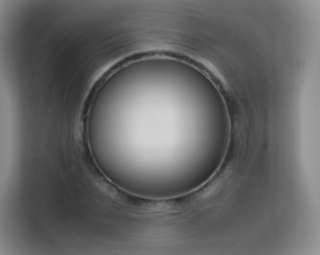 X0000113150879200909110952