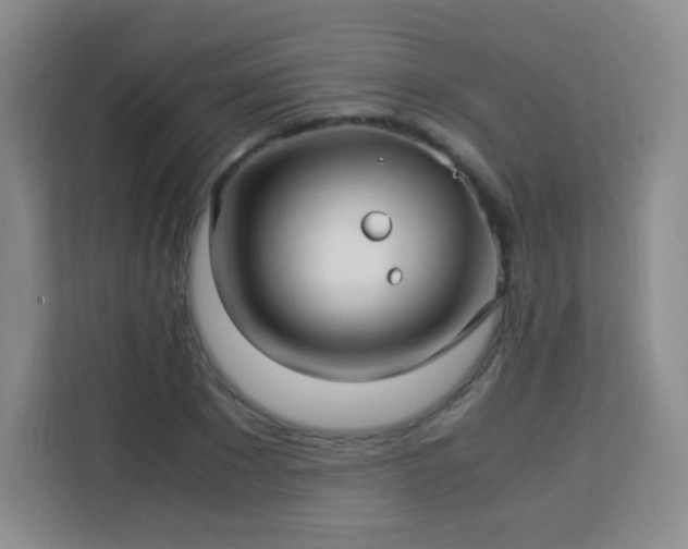 X0000113150881200909110952