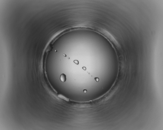 X0000113150884200909110952