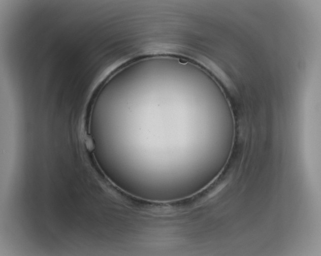 X0000113150885200909110952