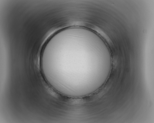 X0000113150886200909110952