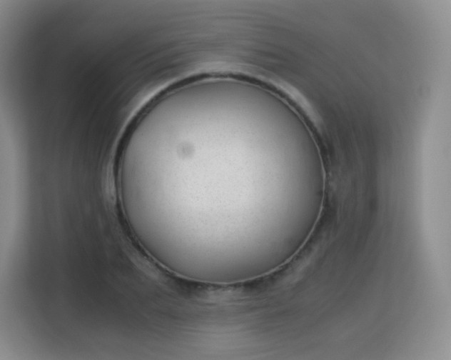 X0000113150887200909110952