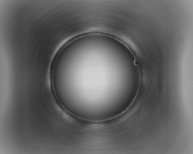 X0000113150888200909110952