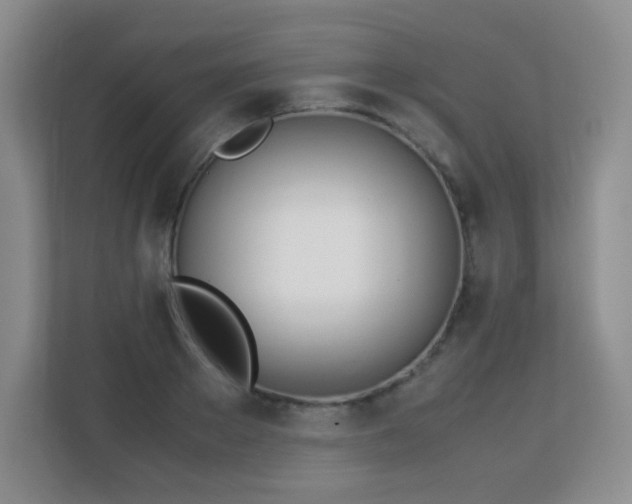 X0000113150889200909110952