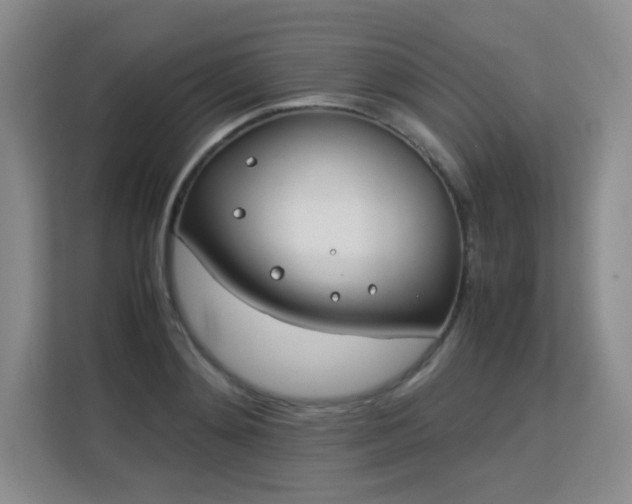 X0000113150892200909110952