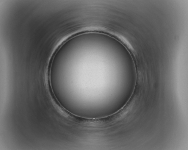 X0000113150895200909110952