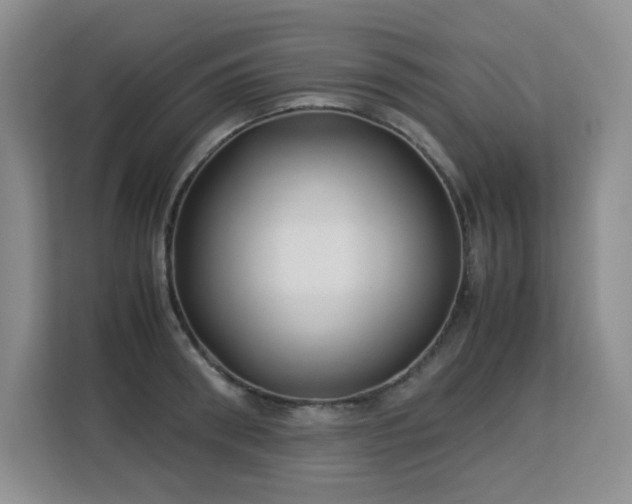 X0000113150898200909110952