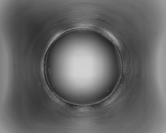 X0000113150899200909110952