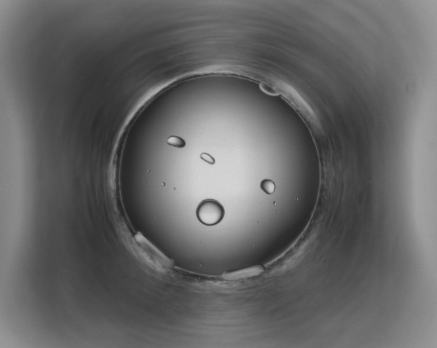 X0000113150900200909110952