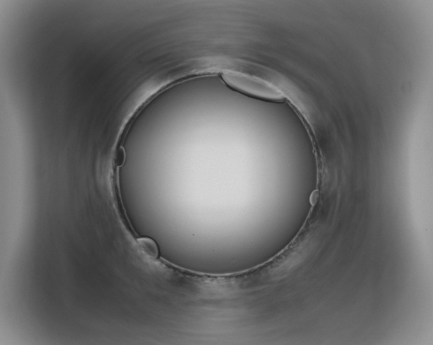 X0000113150901200909110952