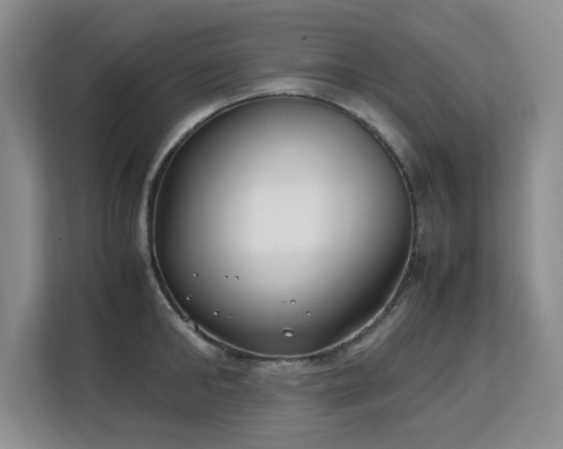 X0000113150902200909110952