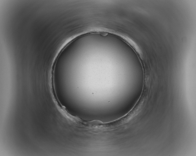 X0000113150903200909110951