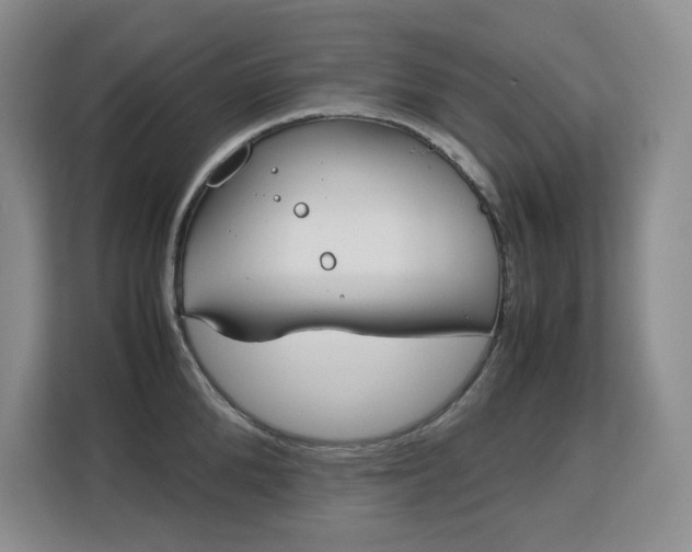 X0000113150904200909110951