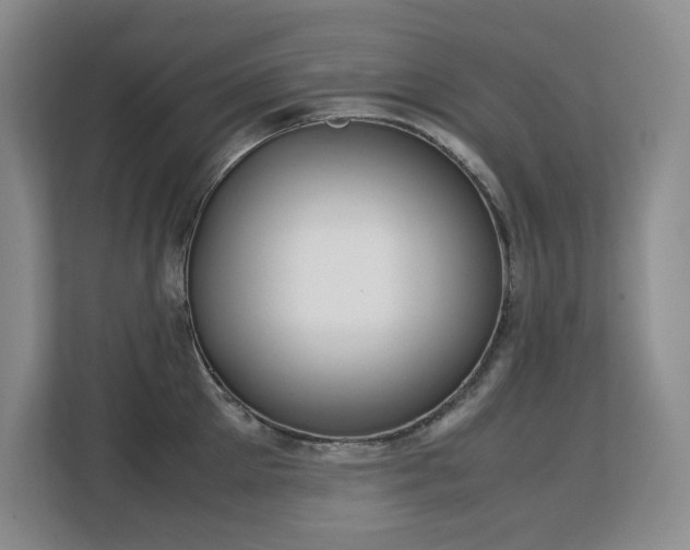 X0000113150905200909110951