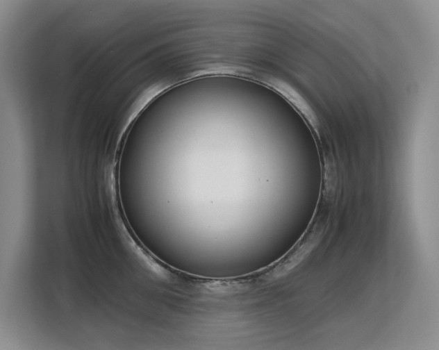 X0000113150906200909110951