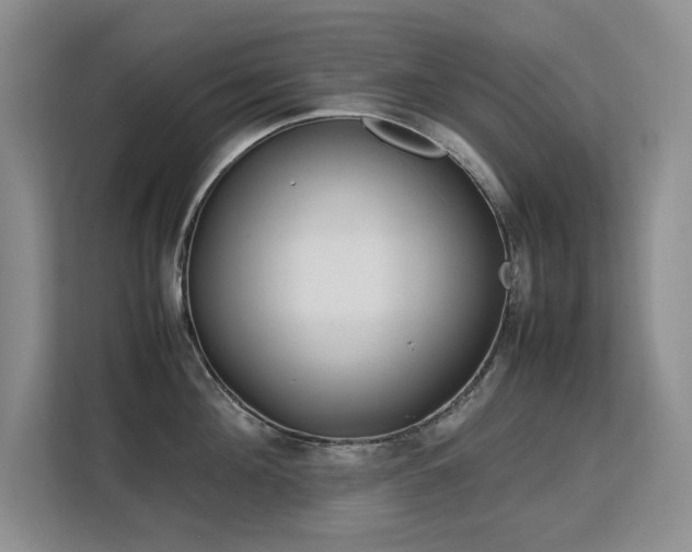 X0000113150908200909110951