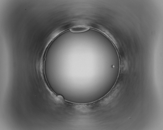 X0000113150909200909110951