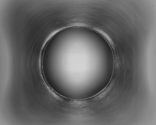 X0000113150910200909110951