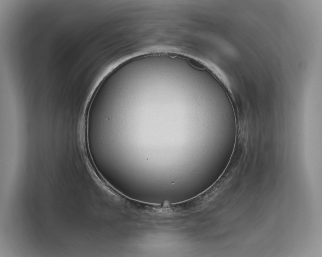 X0000113150911200909110951