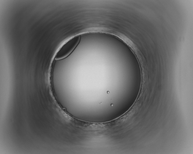 X0000113150912200909110951