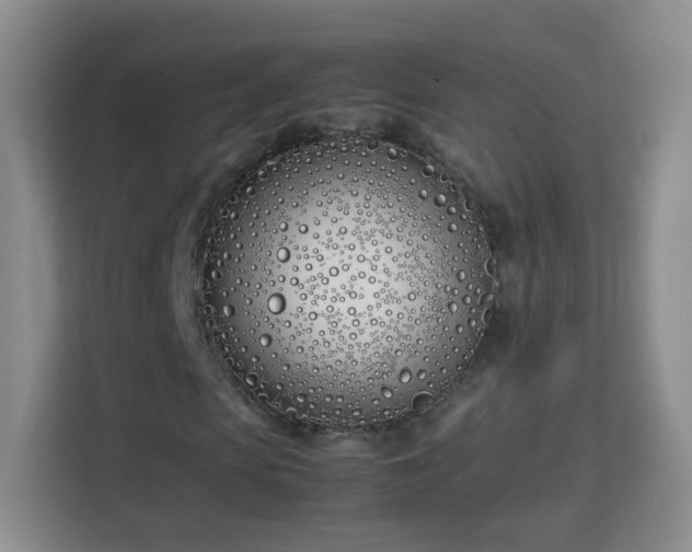 X0000113150913200909110951